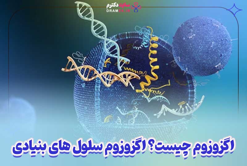 اگزوزوم چیست