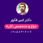 دکتر امیر فکور
