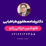 دکتر رضا مصطفوی طباطبایی