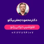 دکتر محمود جعفر بک‌لو